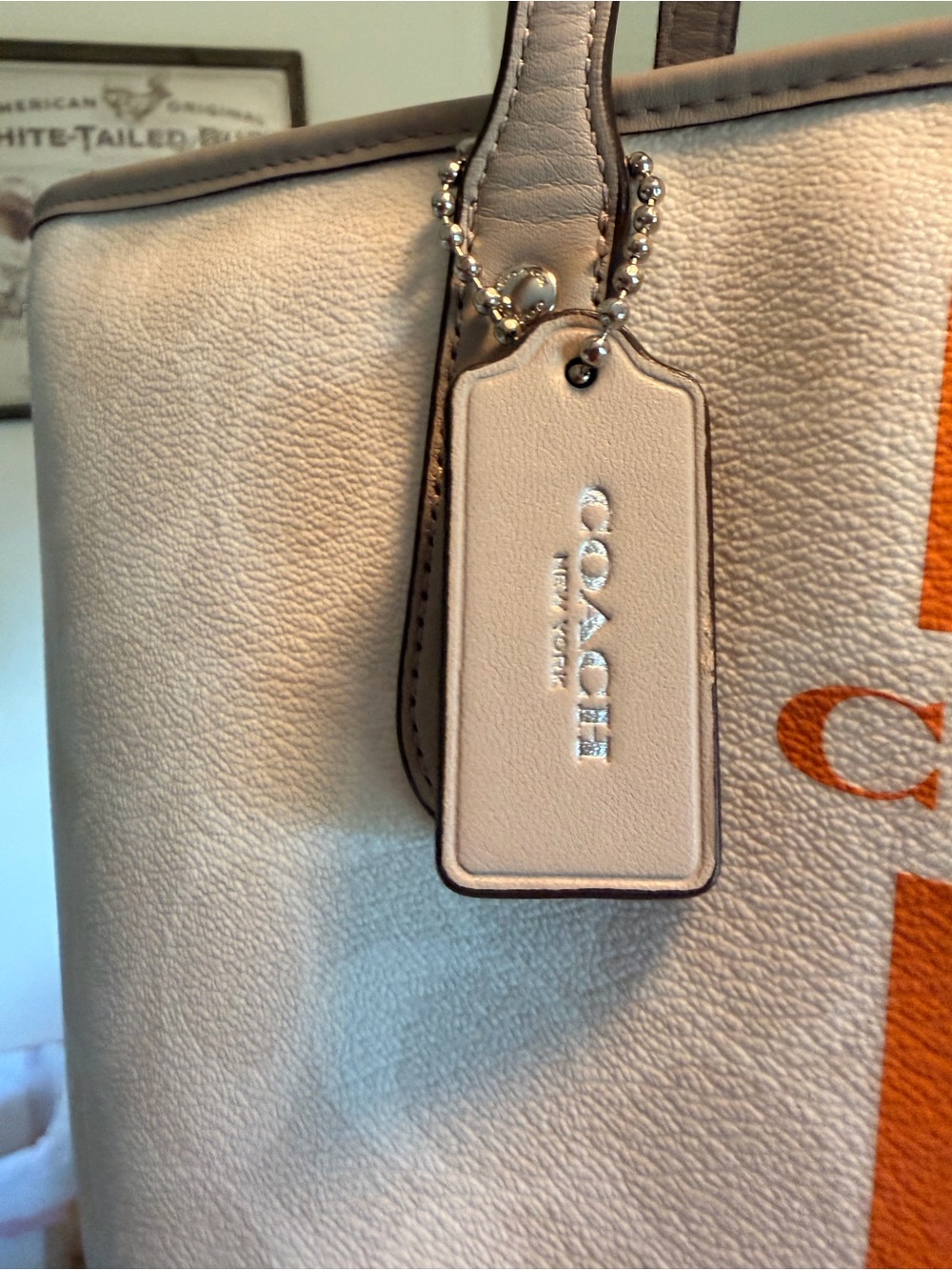 Coach Varsity Stripe City Zip Tote - Picture 6 of 6